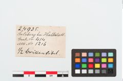 Etiketten zu Bronzebrillenfibel (NHMW-PRAE-024935)